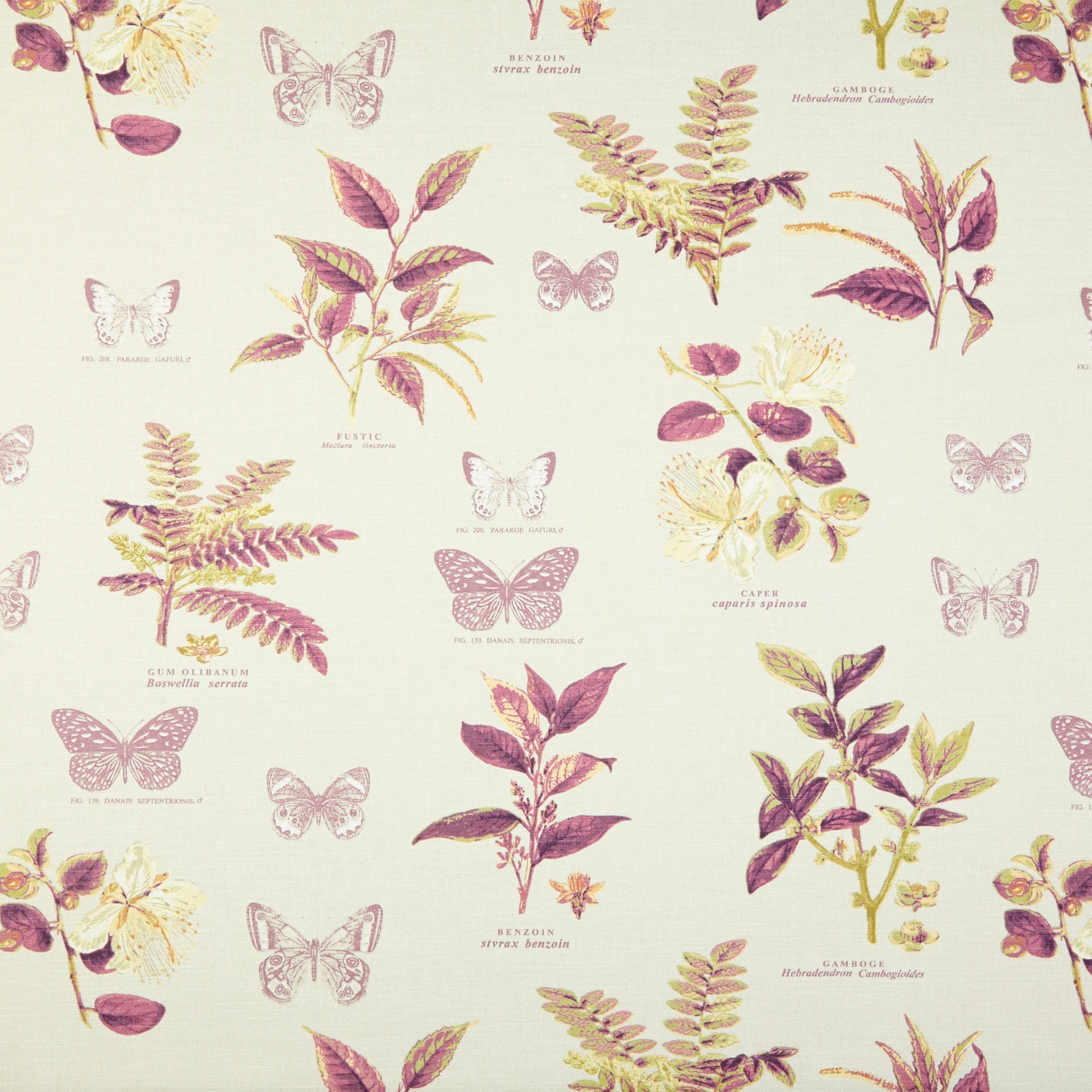 Botany Fabric