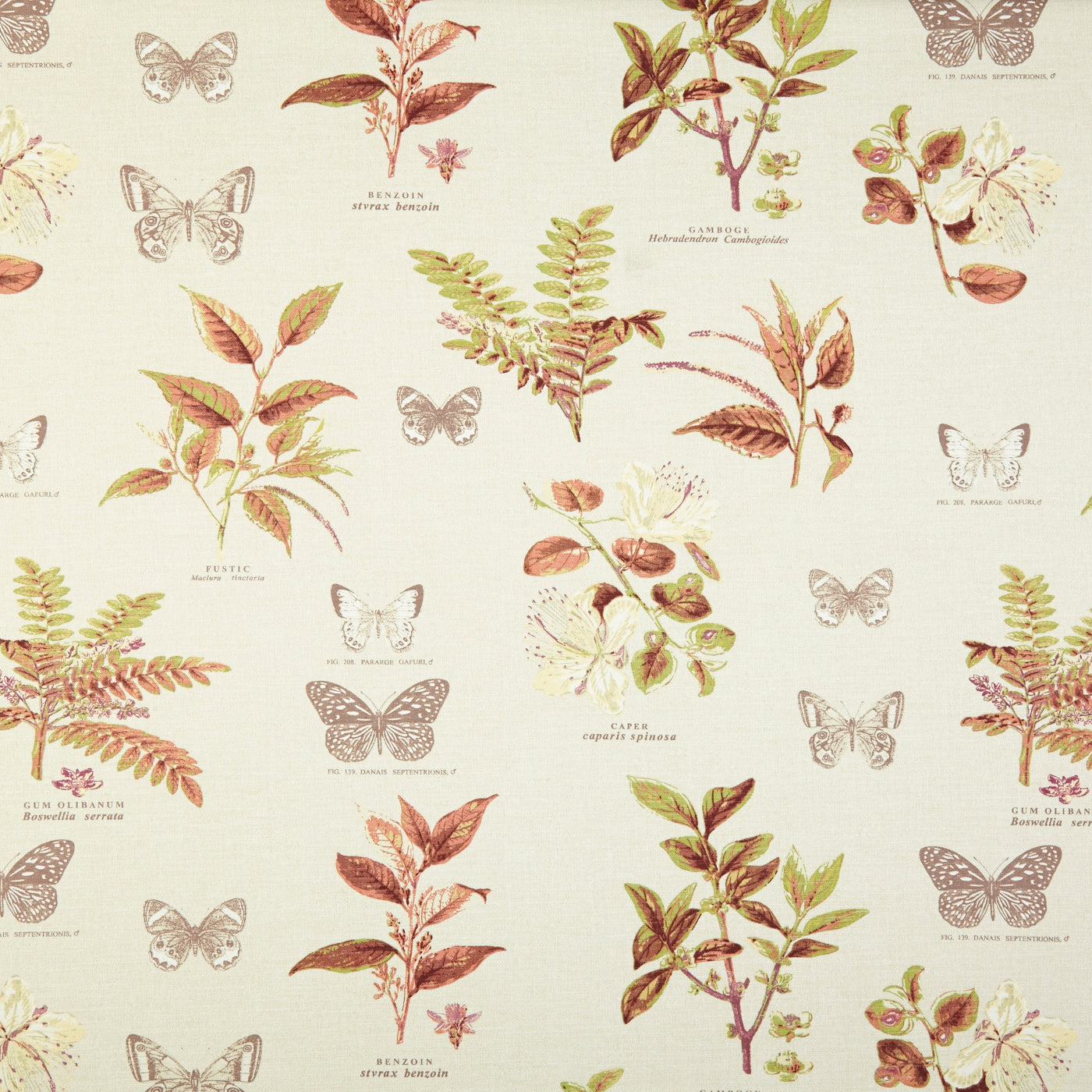 Botany Fabric