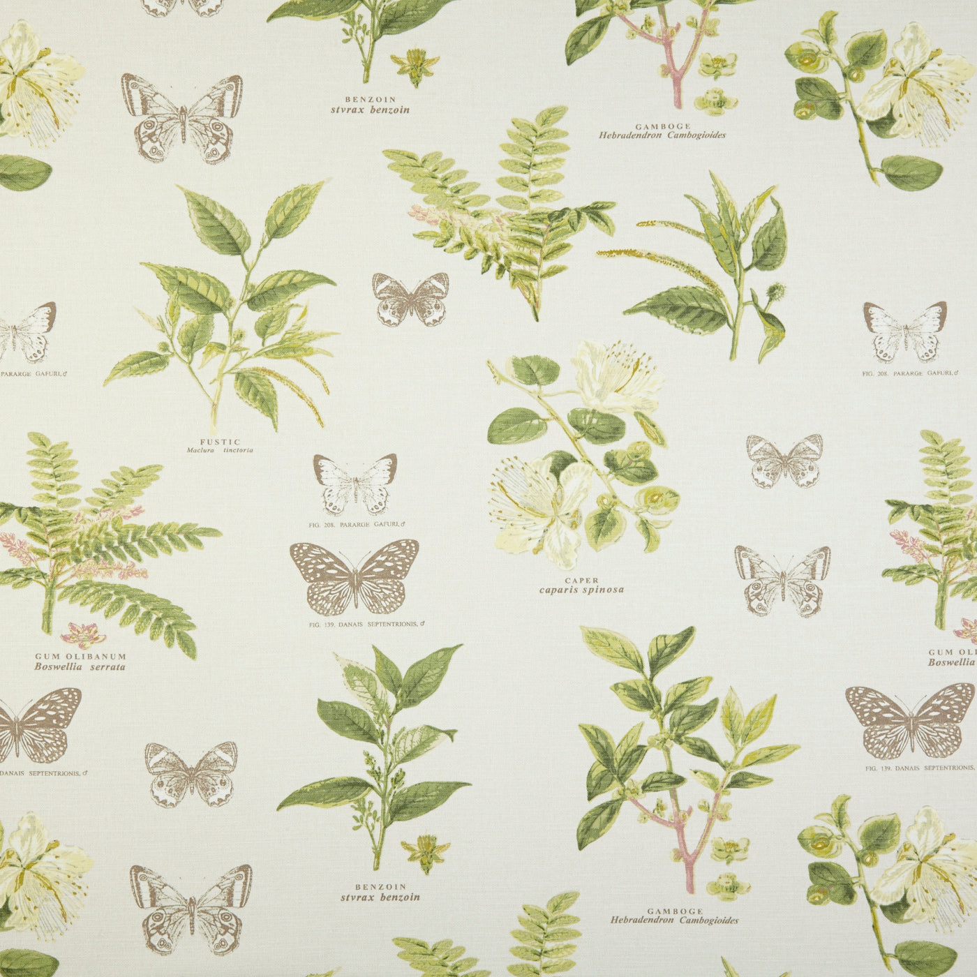 Botany Fabric