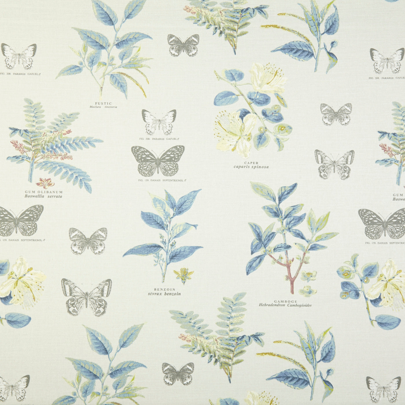 Botany Fabric