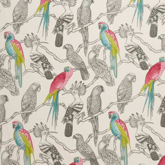 Aviary Fabric