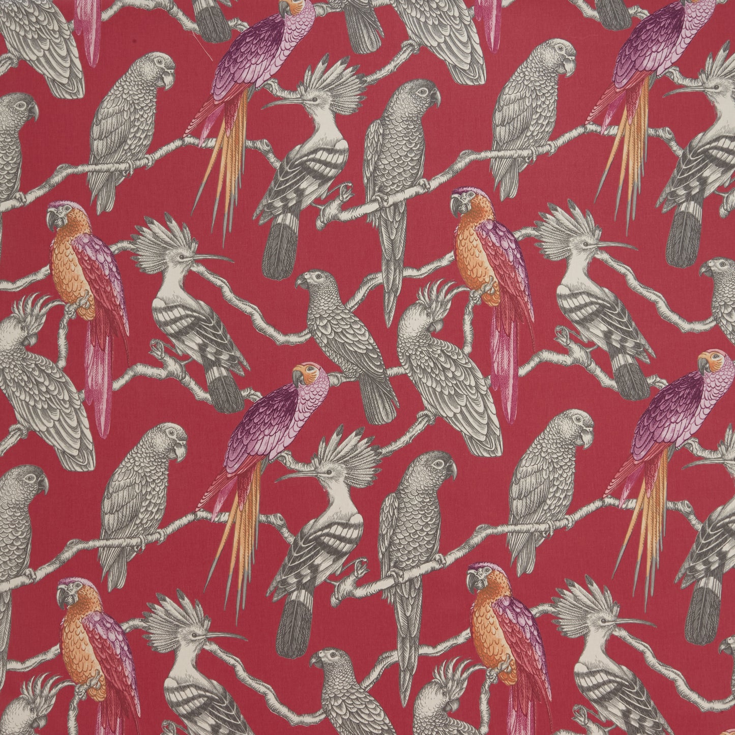 Aviary Fabric