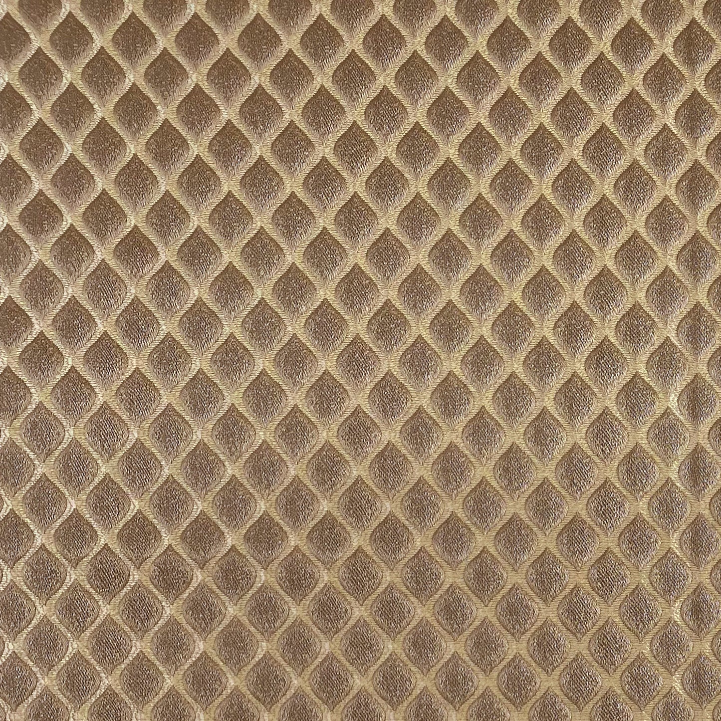 Cara Fabric