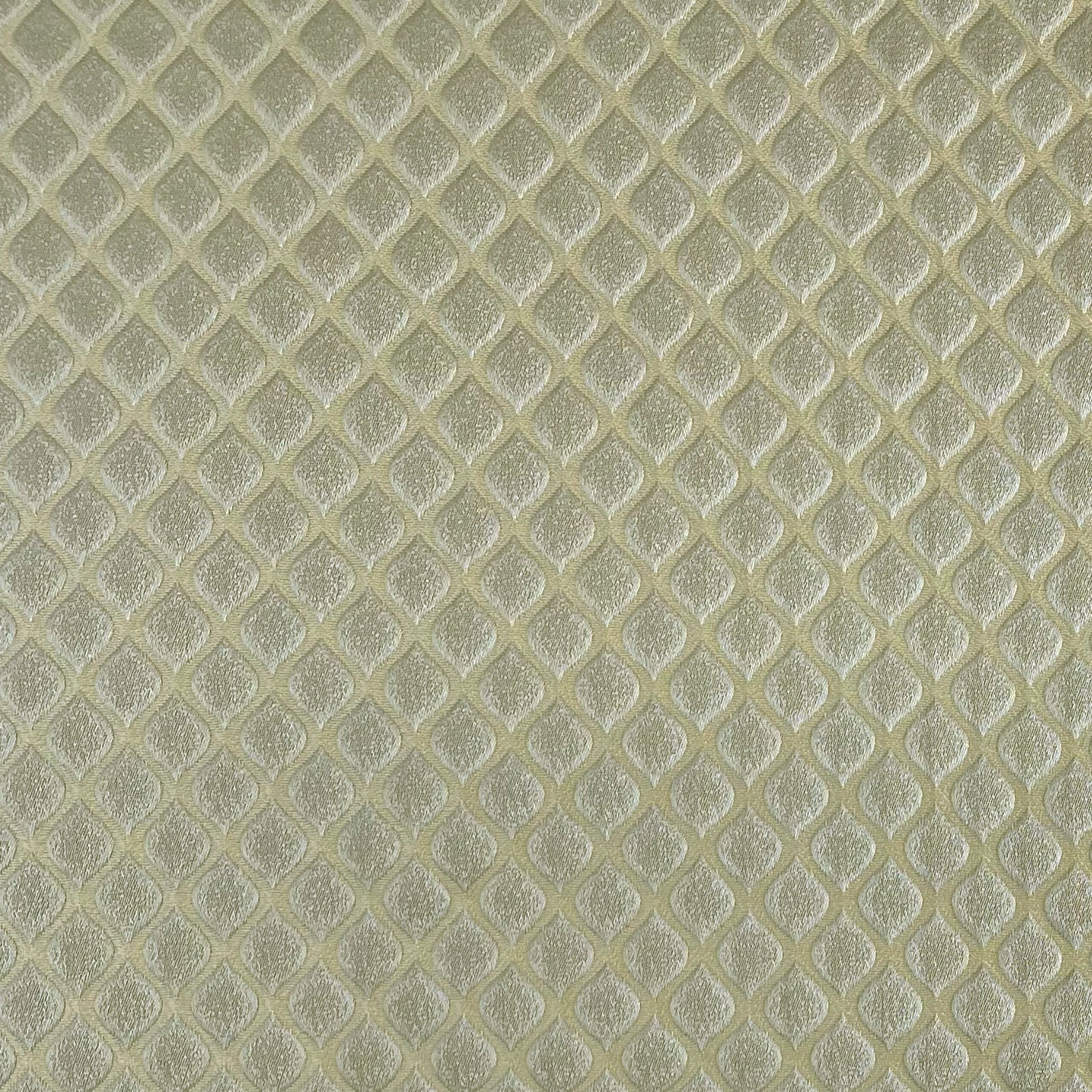 Cara Fabric