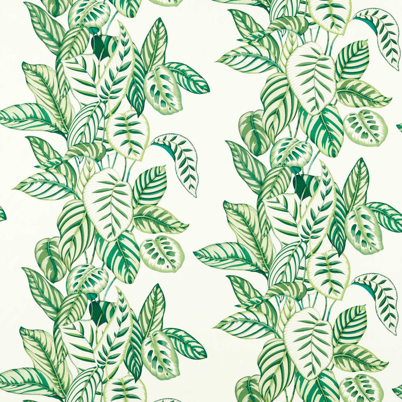 Calathea Fabric