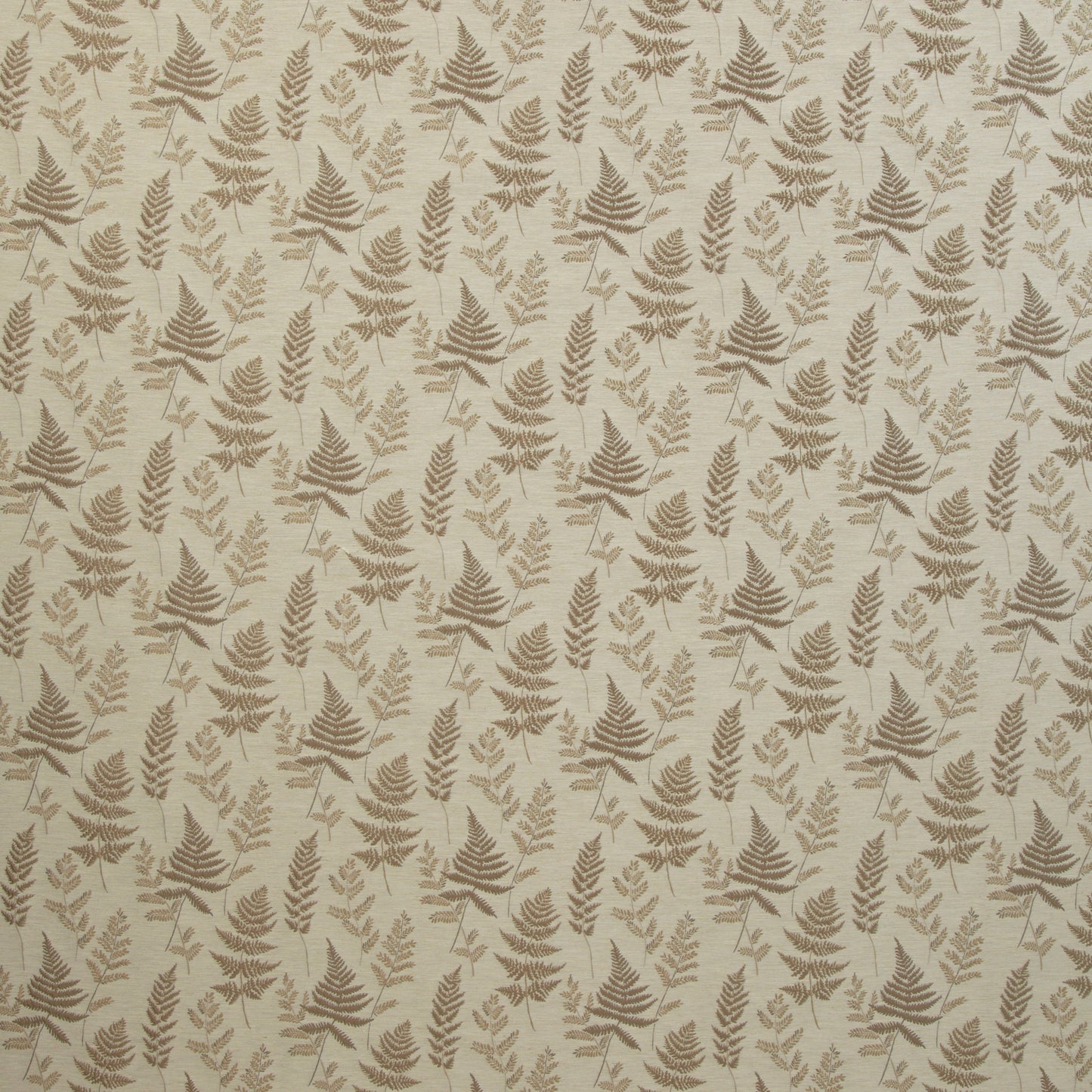 Ferns Fabric