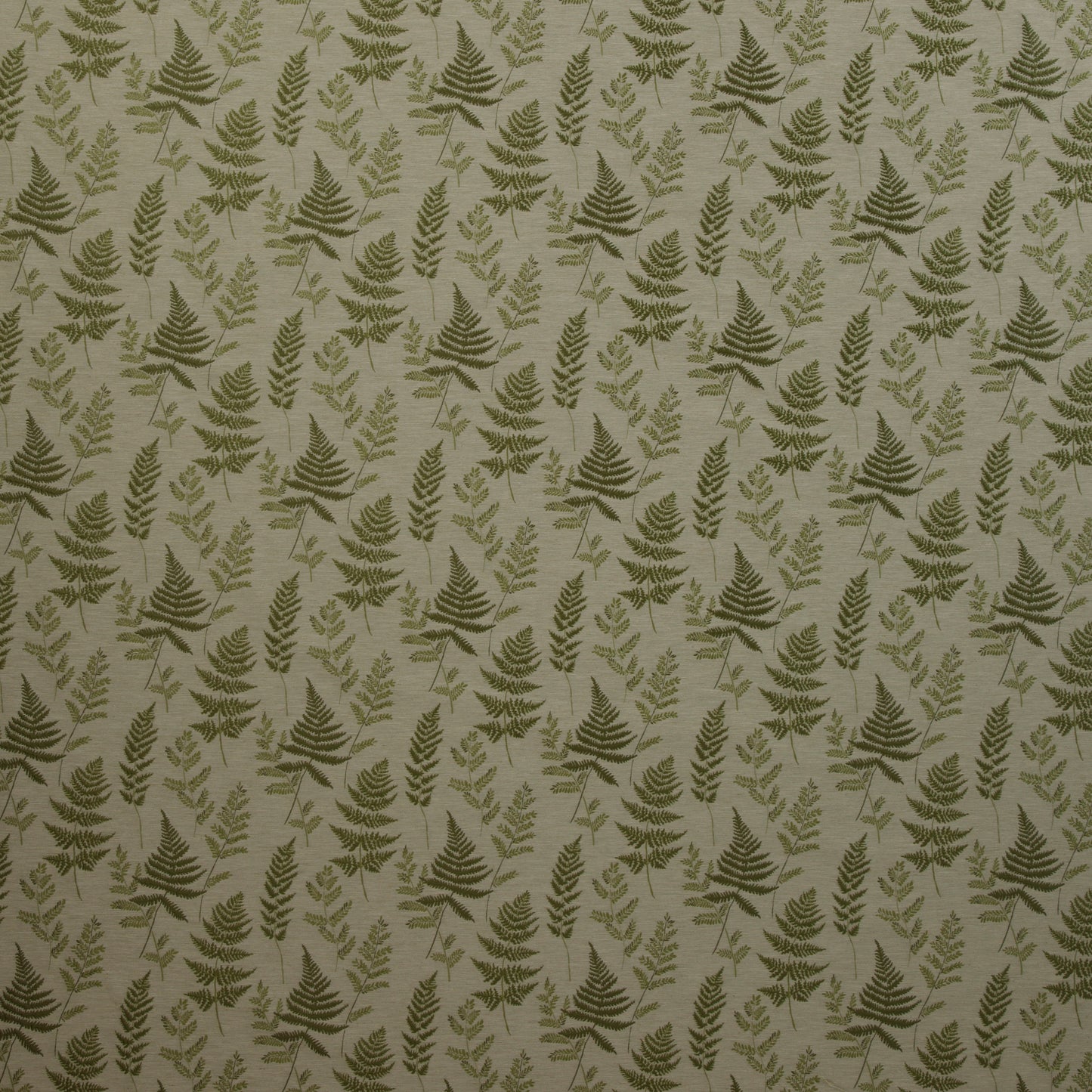 Ferns Fabric