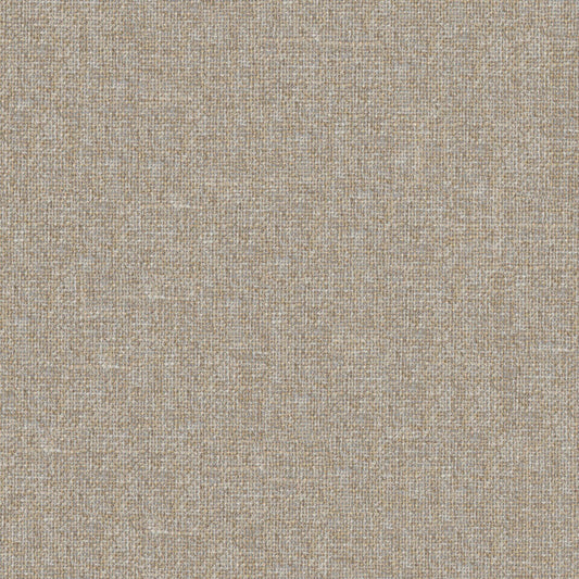 Globe Fabric