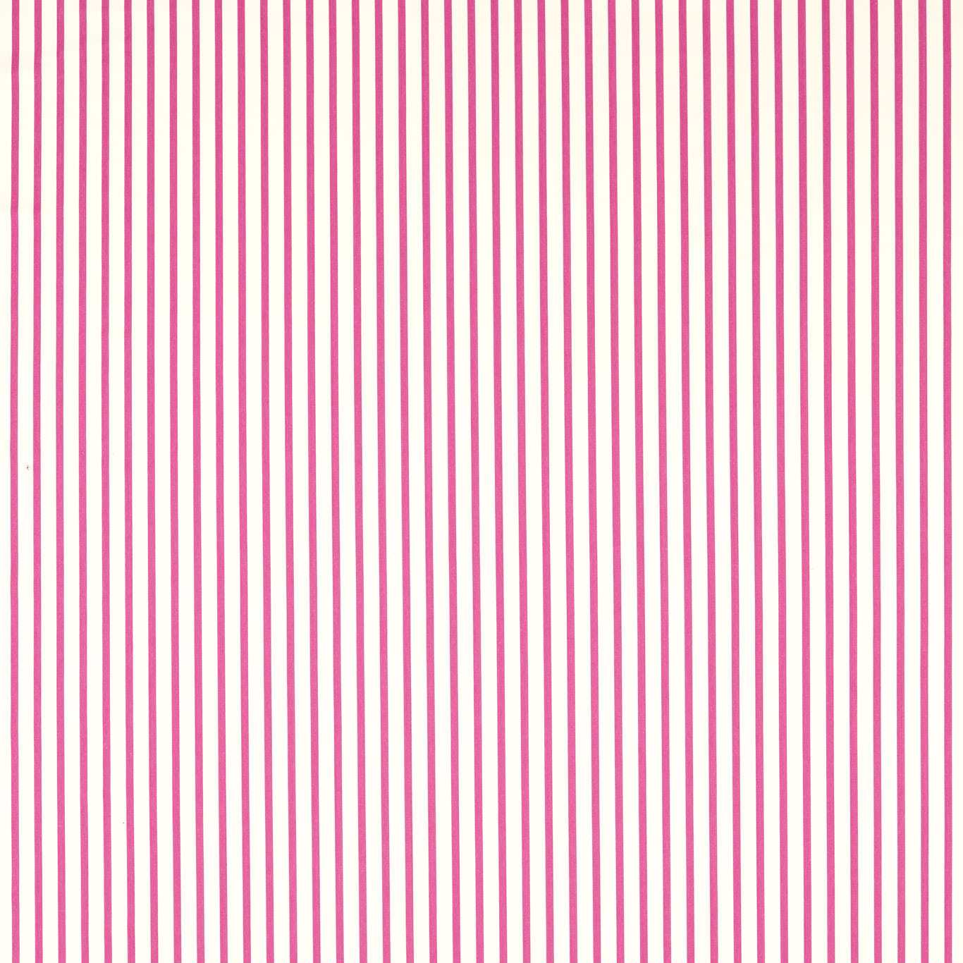 Ribbon Stripe Fabric