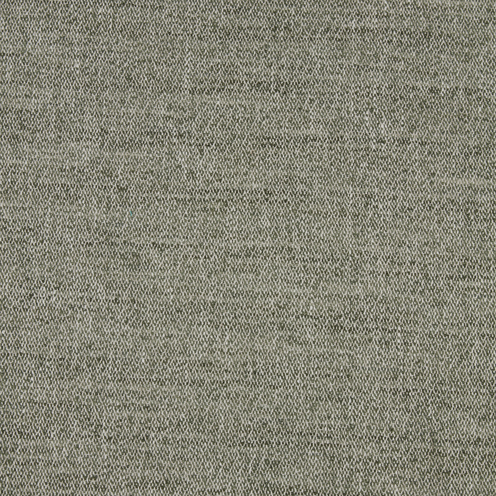 Kapila Fabric