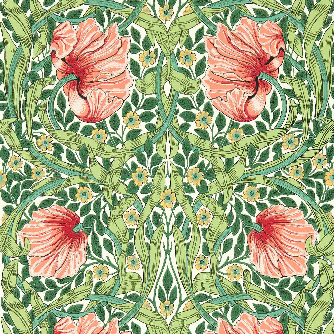 Pimpernel Wallpaper