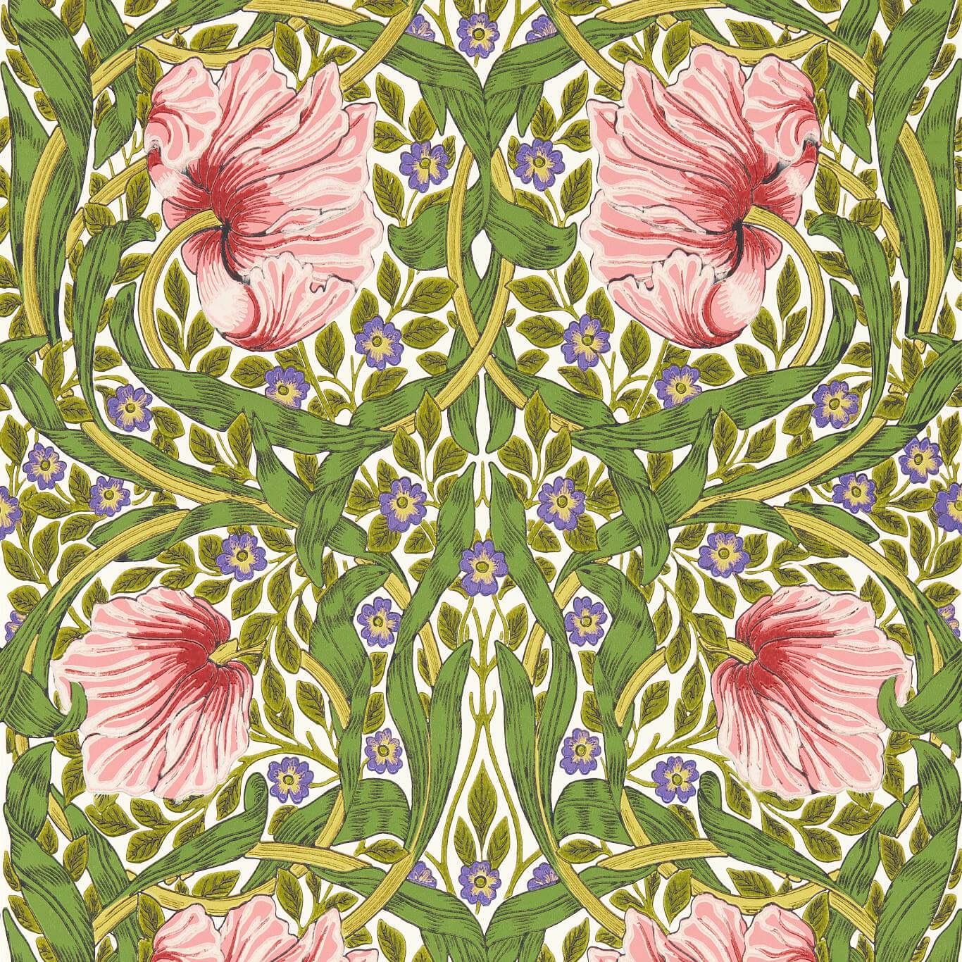 Pimpernel Wallpaper