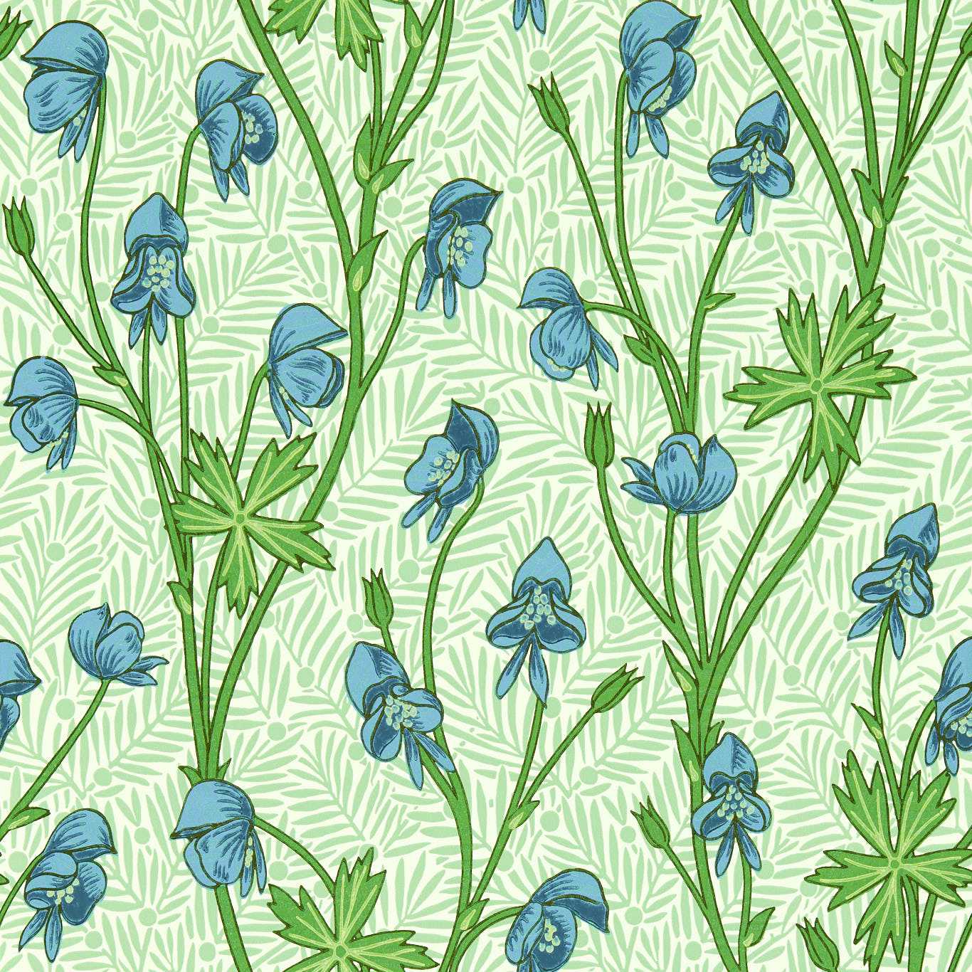 Monkshood Wallpaper