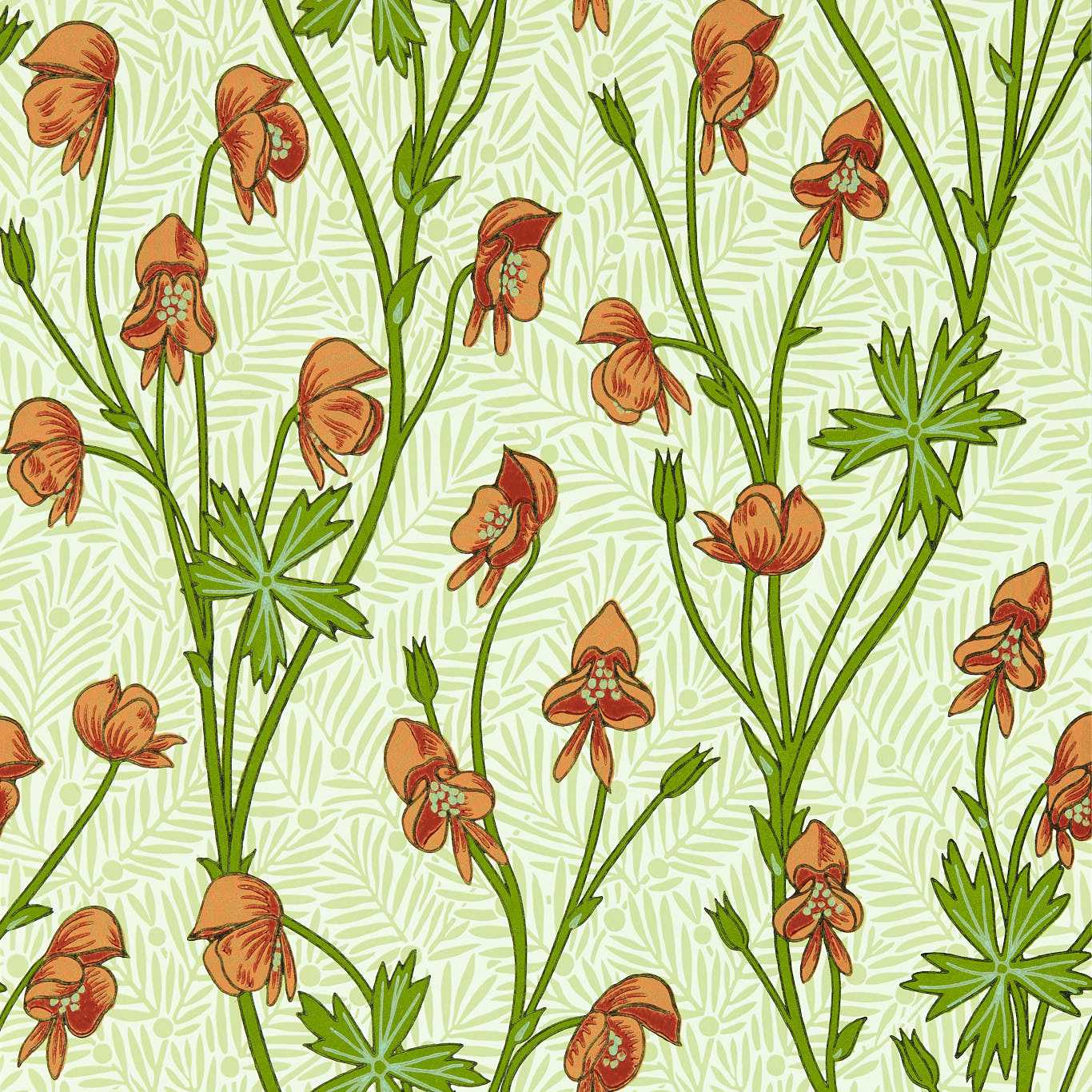 Monkshood Wallpaper