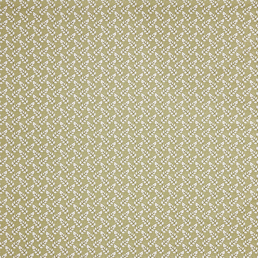 Maidenhair Fabric