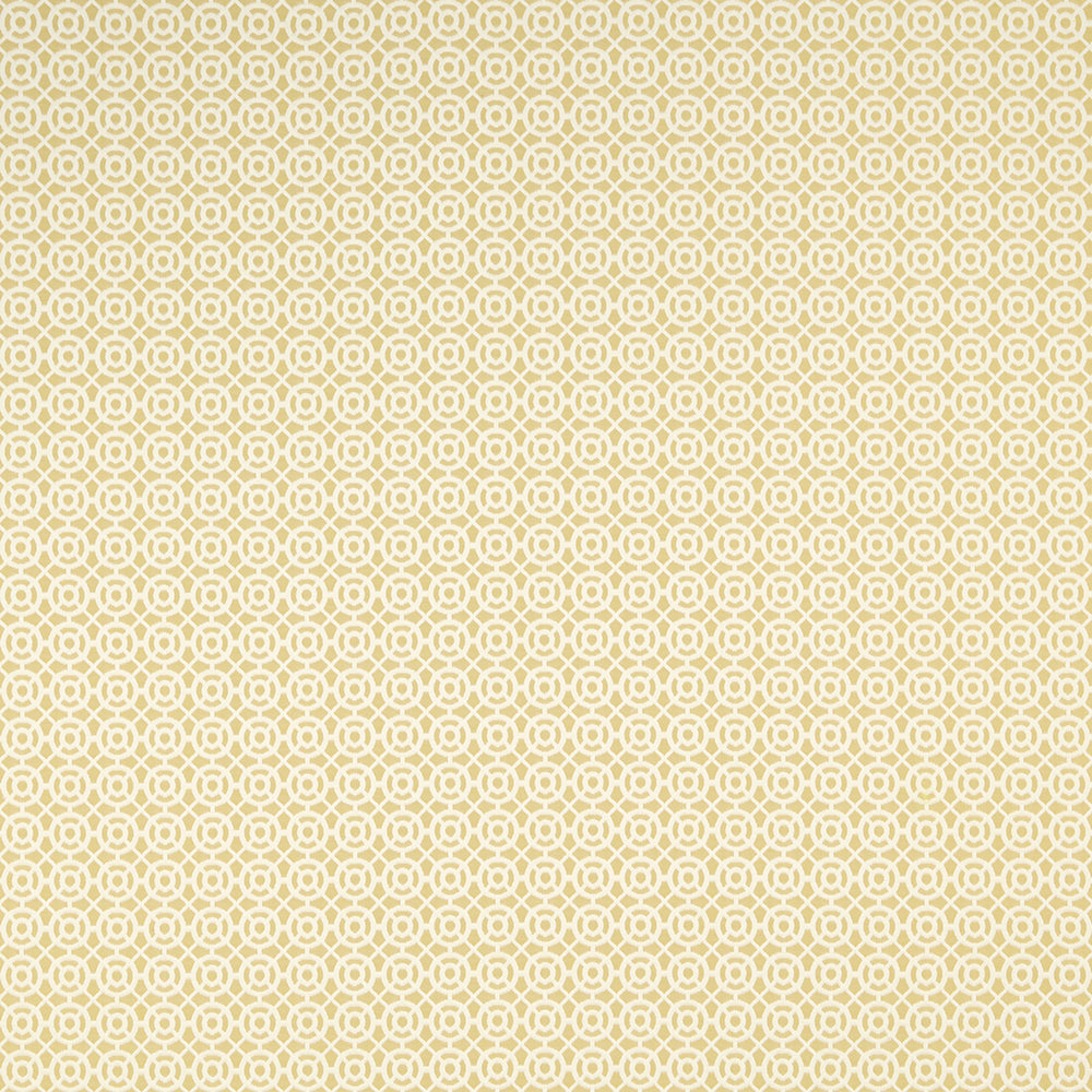 Maze Fabric