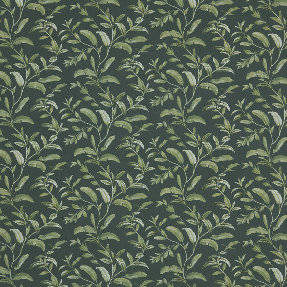 Oasis Fabric