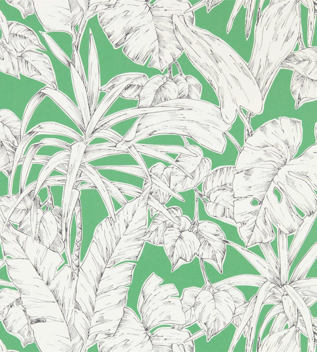 Parlour Palm Wallpaper