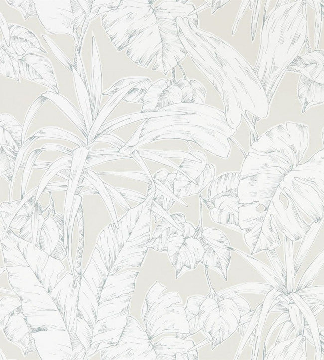 Parlour Palm Wallpaper