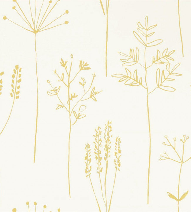 Stipa Wallpaper