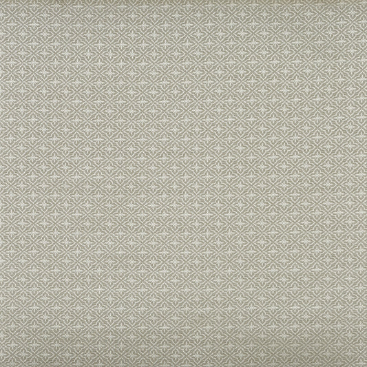 Pico Fabric