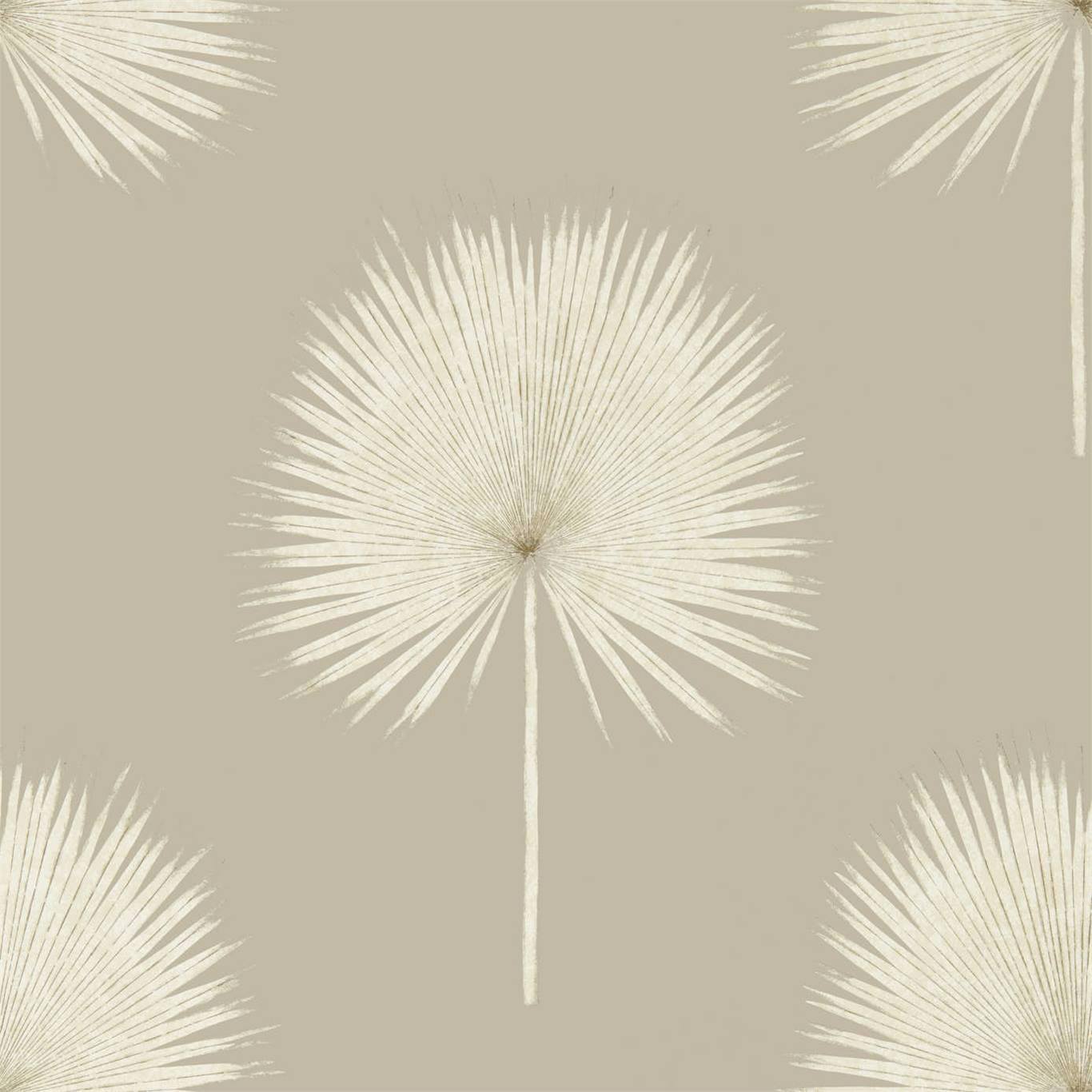 Fan Palm Wallpaper