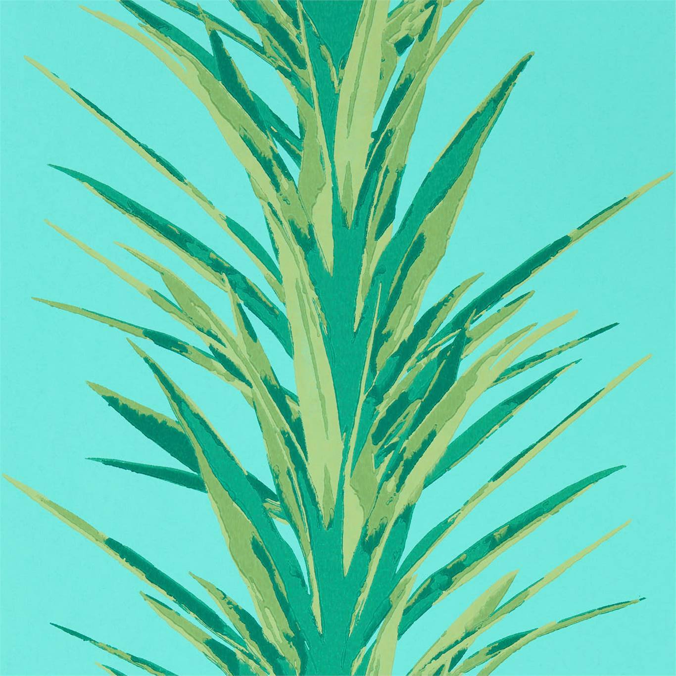 Yucca Wallpaper