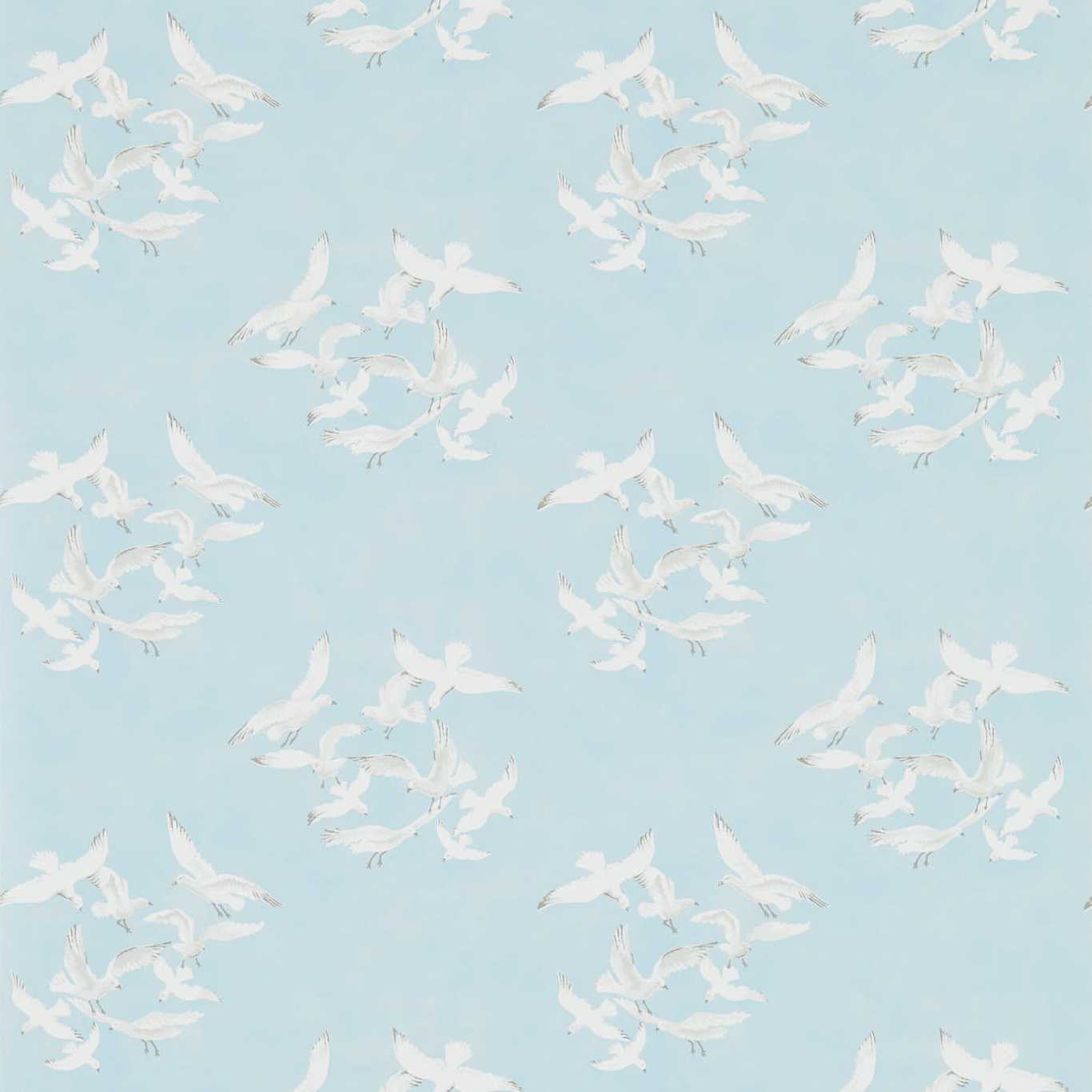 Seagulls Wallpaper