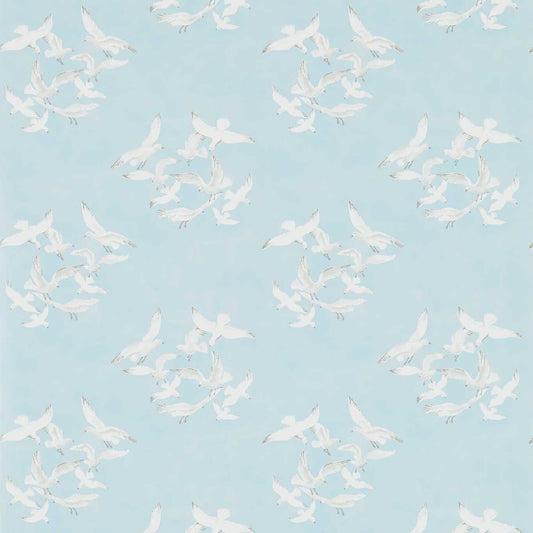 Seagulls Wallpaper