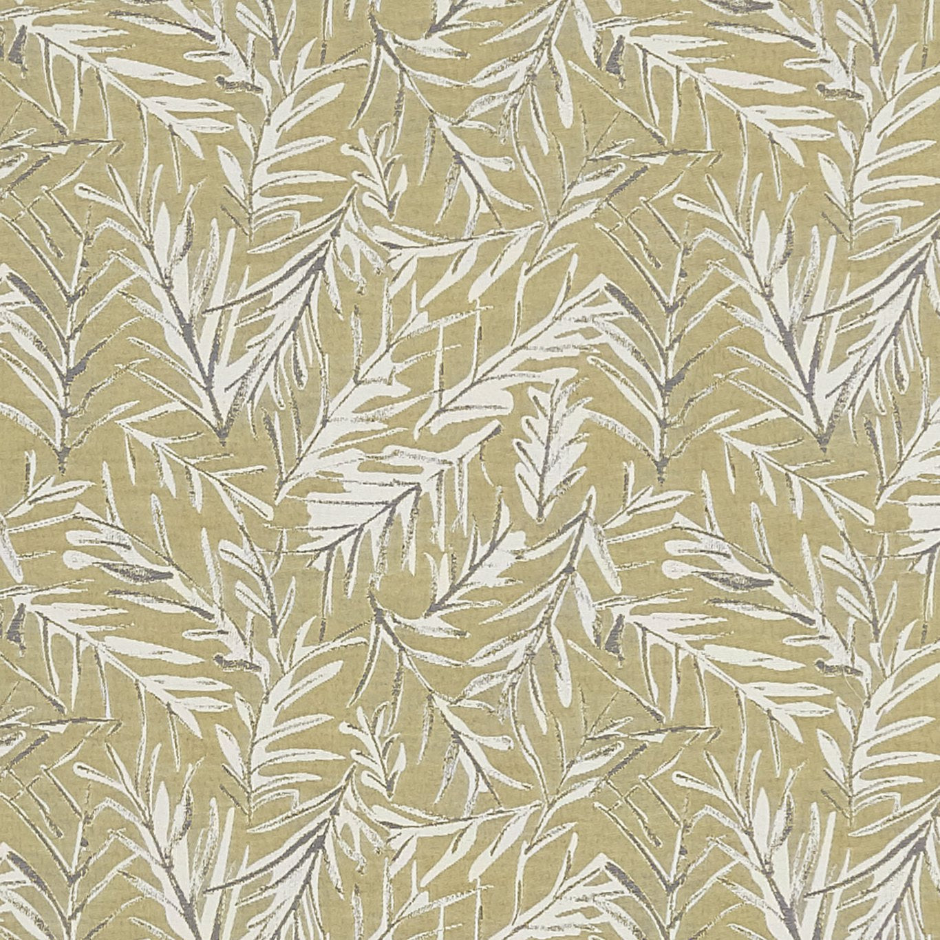 Anelli Fabric