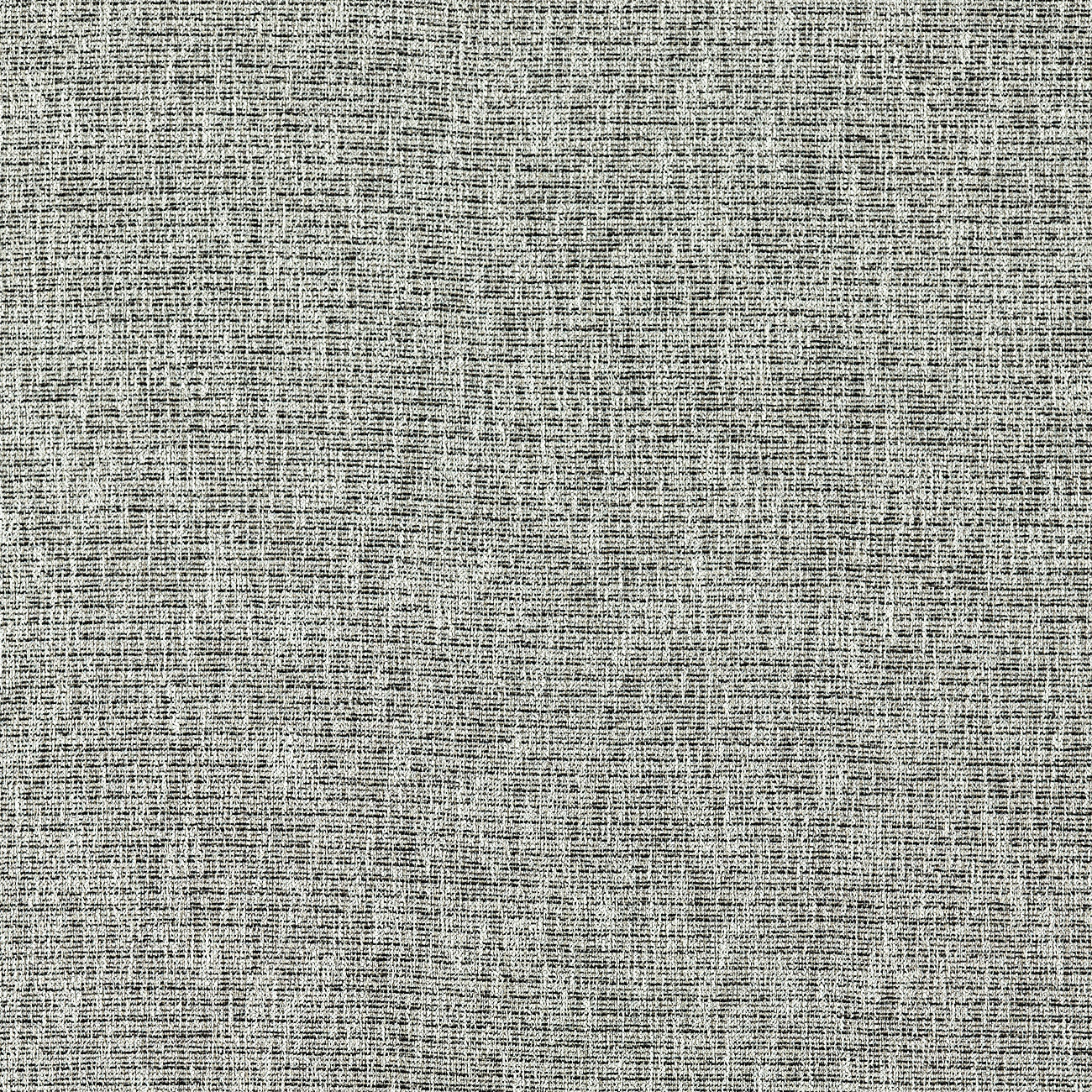 Avani Fabric