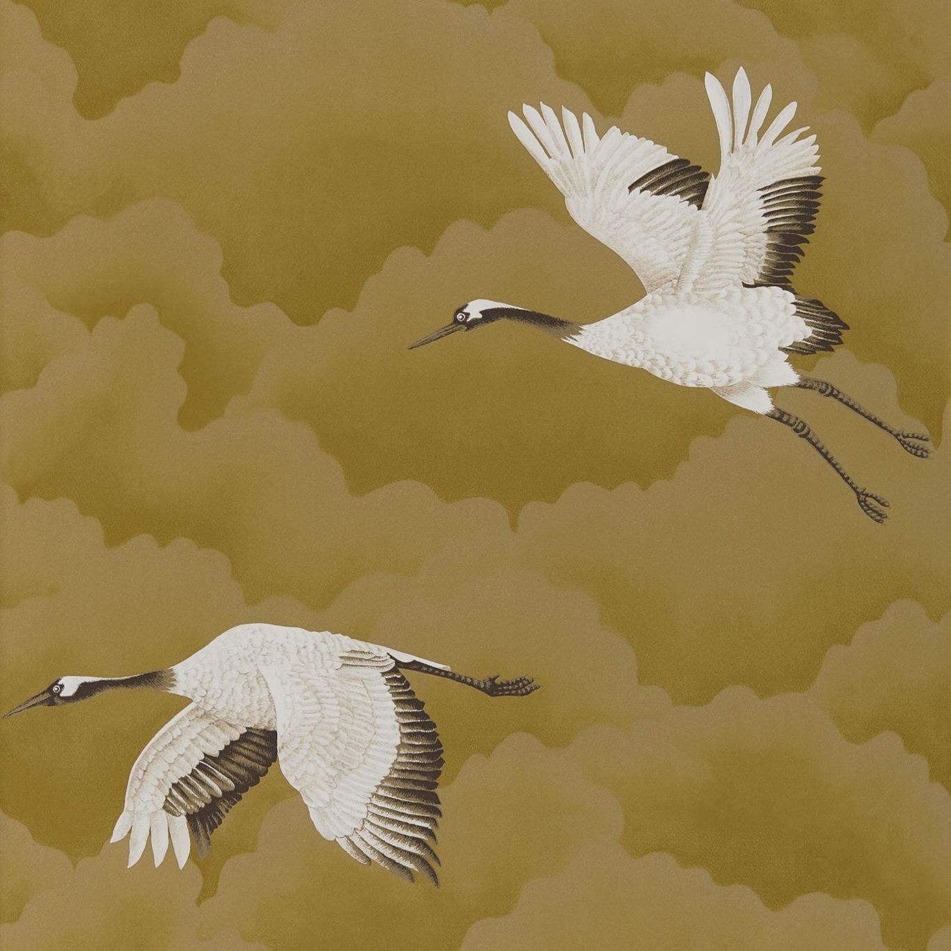 Cranes In Flight Wallpaper