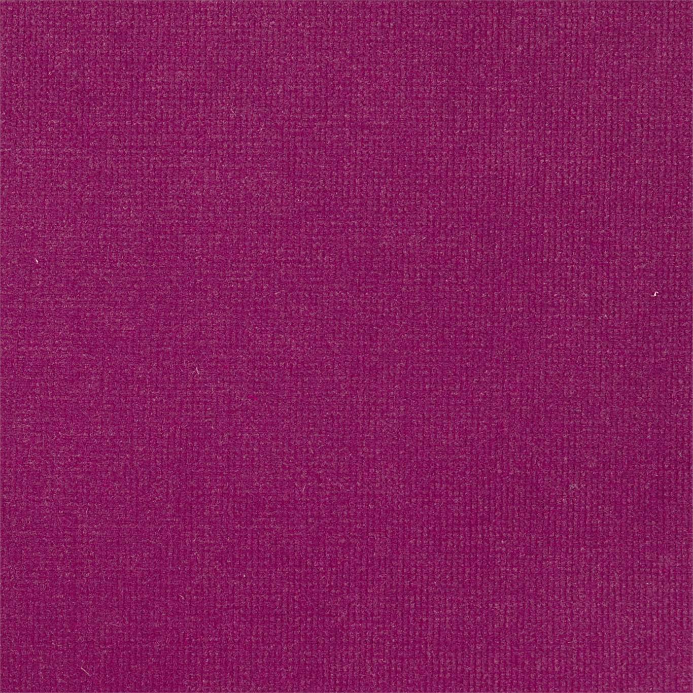 Plush Velvet Fabric