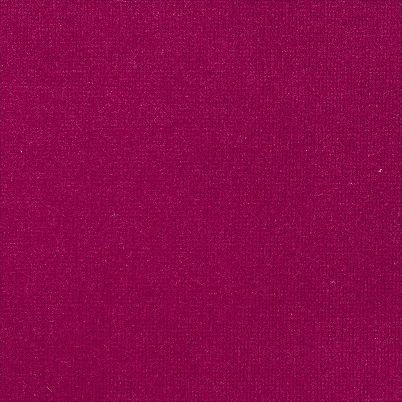 Plush Velvet Fabric