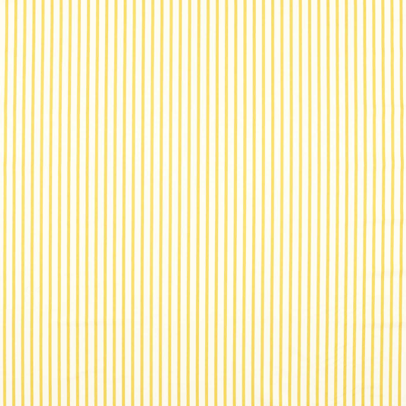 Ribbon Stripe Fabric