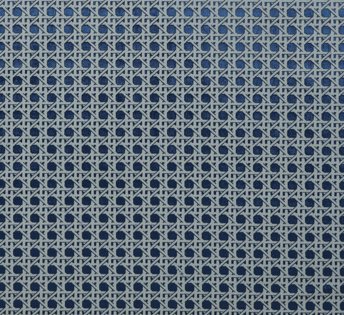 Enos Fabric