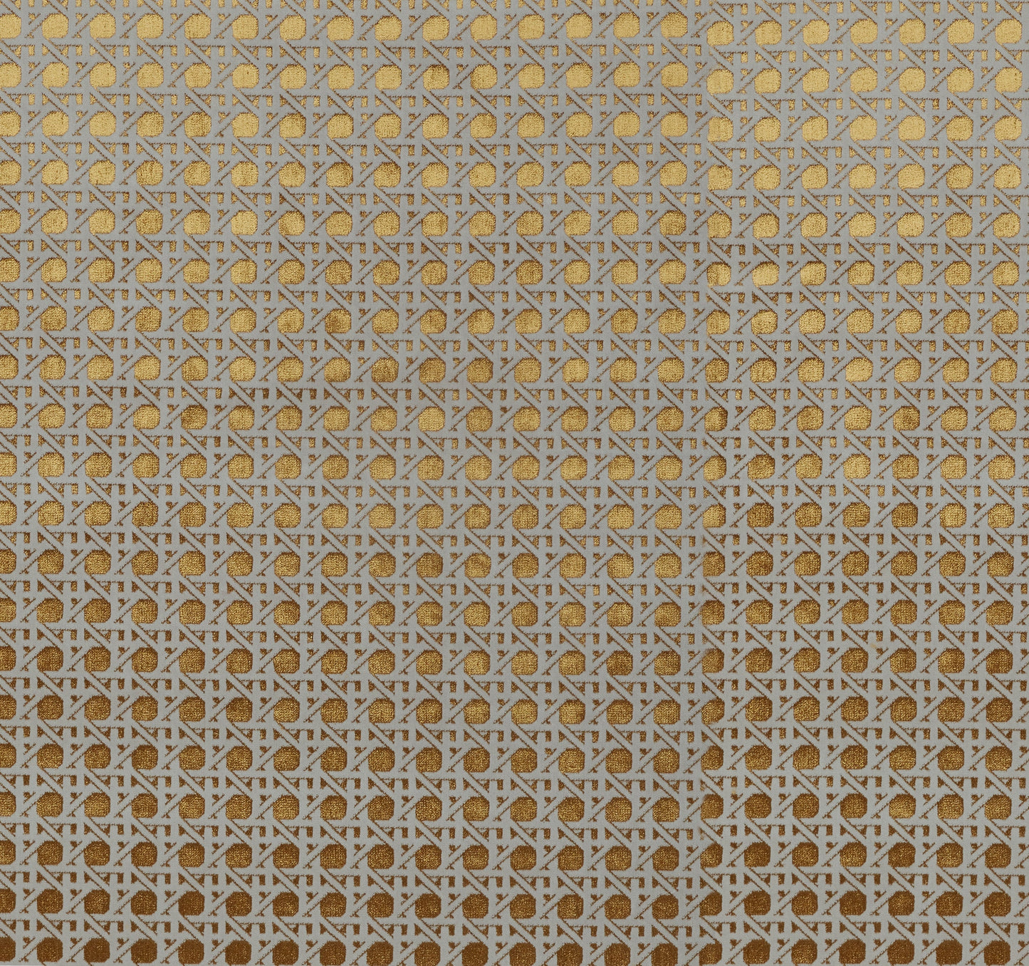 Enos Fabric