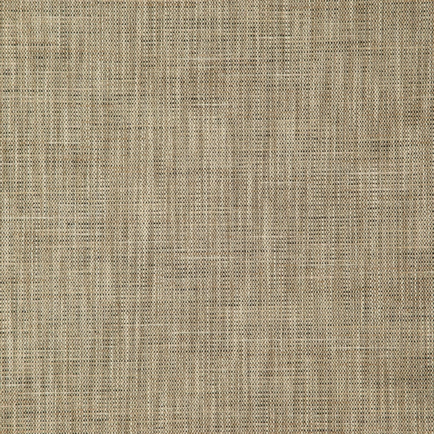 Lacerta Fabric