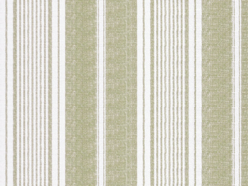 Toile Stripe Fabric