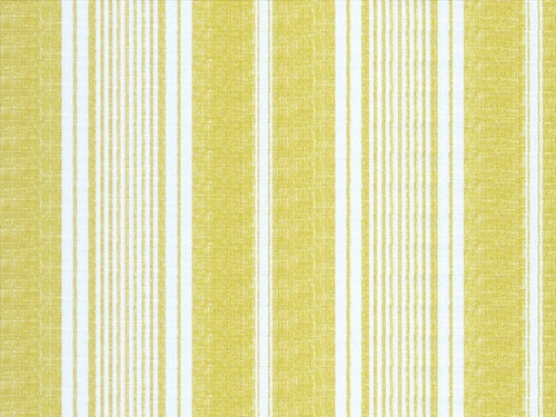 Toile Stripe Fabric