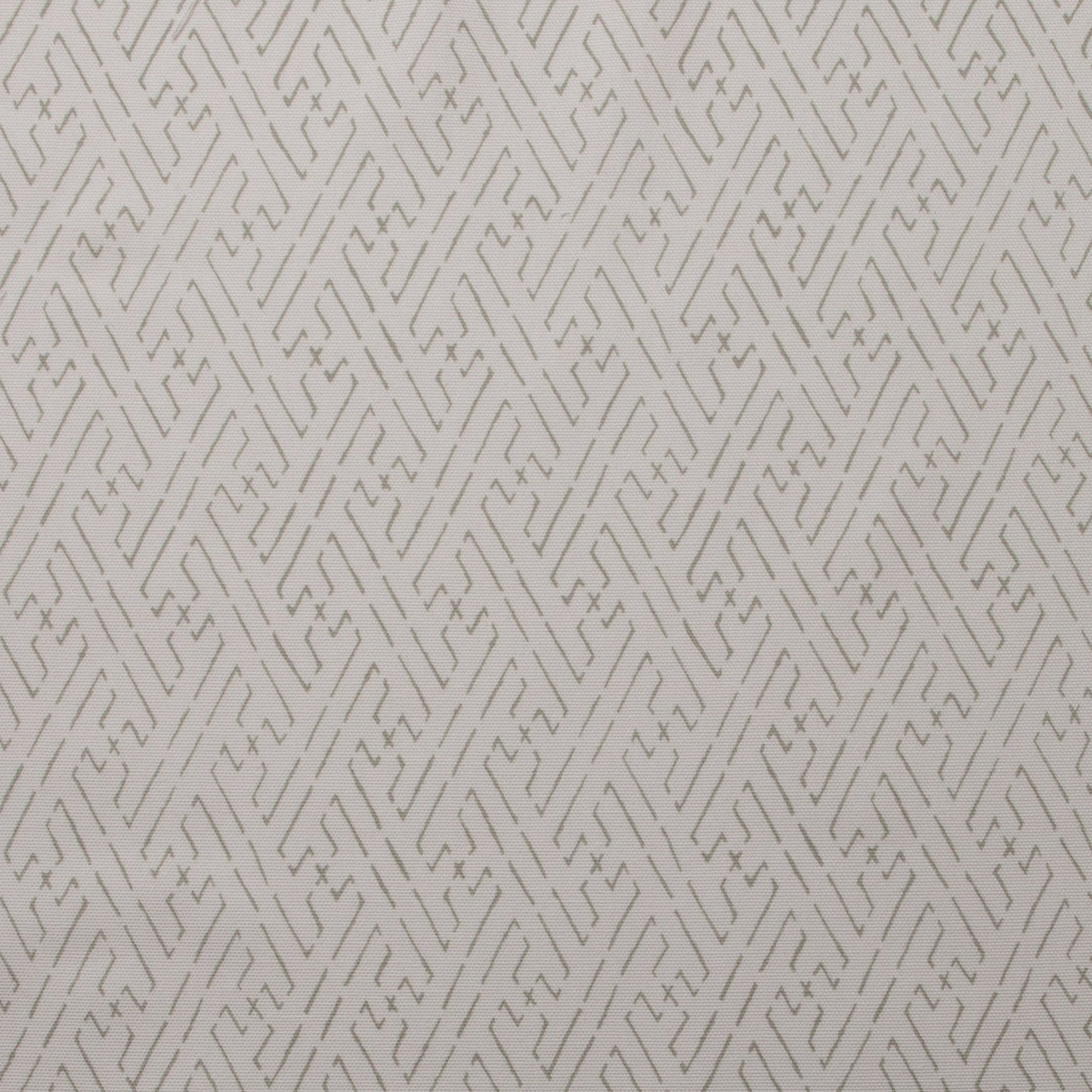 Trellis Fabric