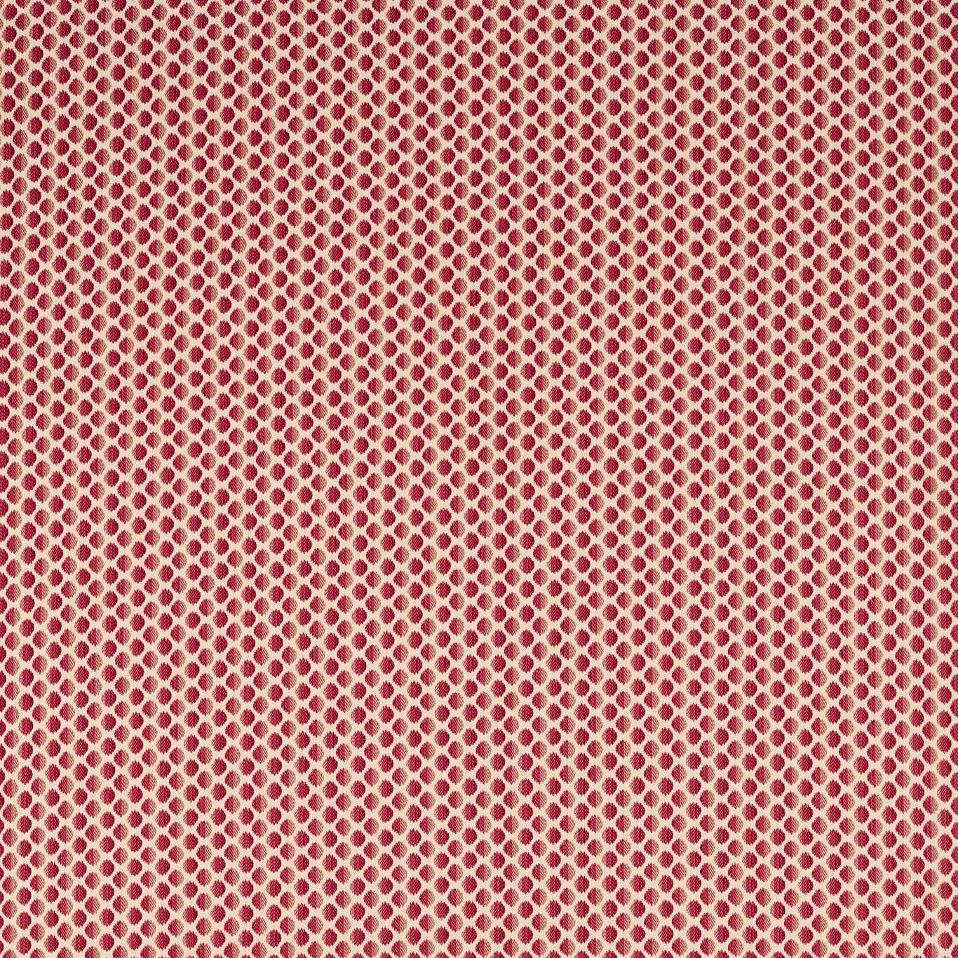 Seymour Spot Fabric