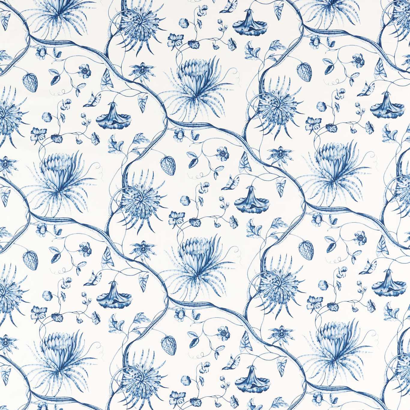 Phaedra Toile Fabric