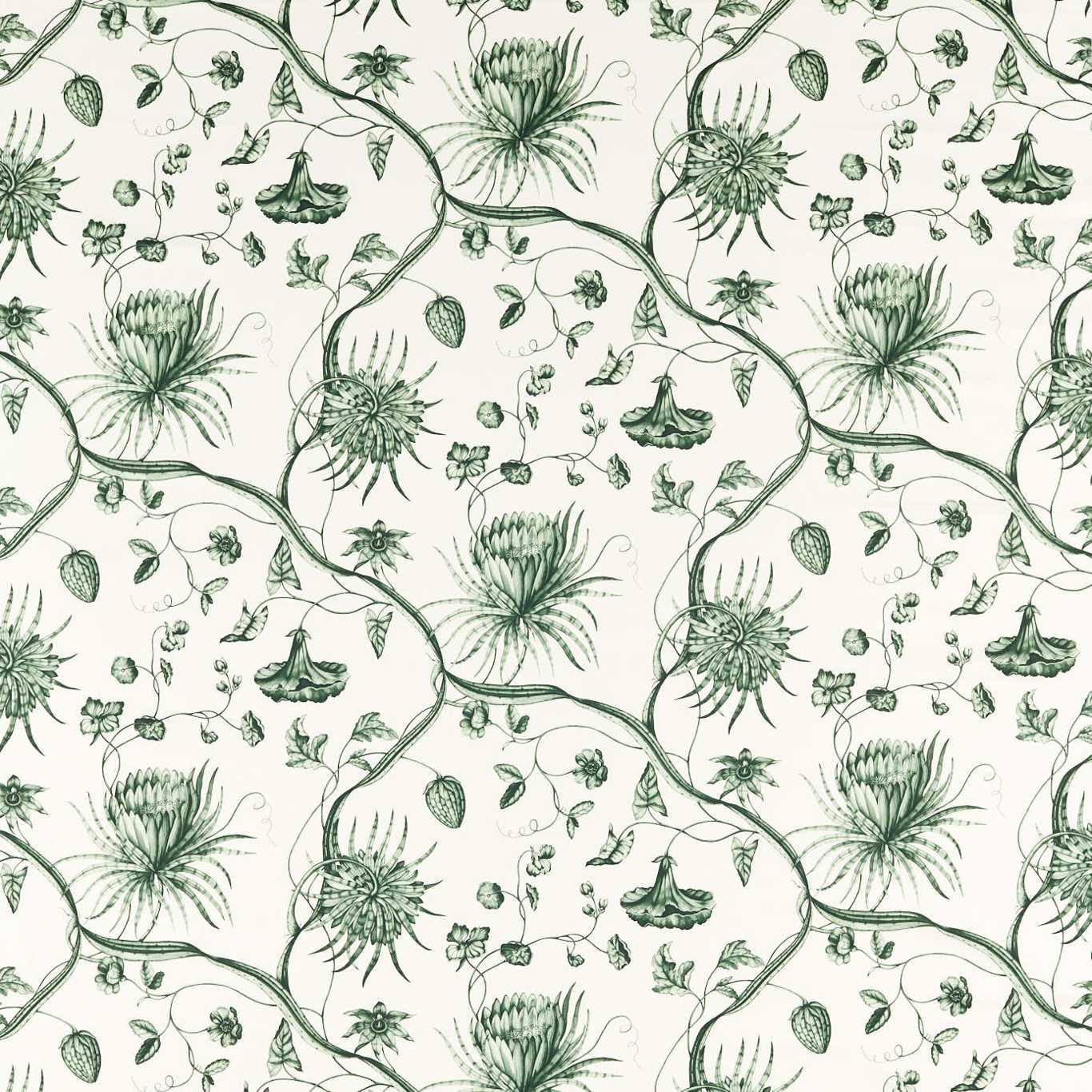 Phaedra Toile Fabric