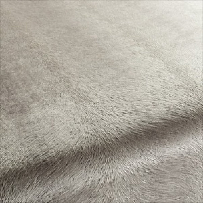 Pistoia Velvet Fabric