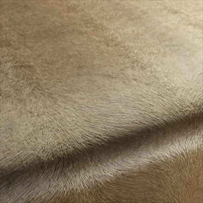 Pistoia Velvet Fabric