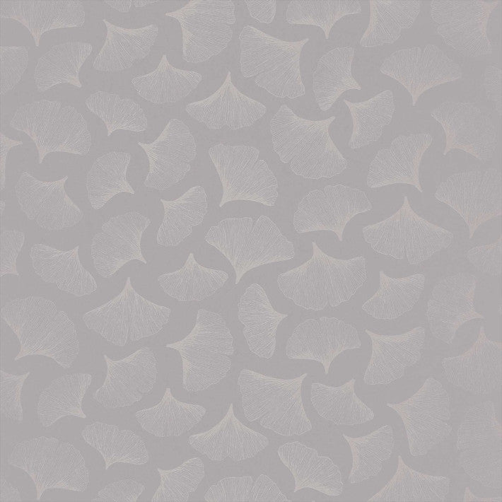 Ginkgo Wallpaper