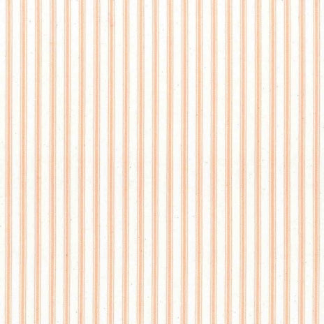 Ticking Stripe 1 Fabric