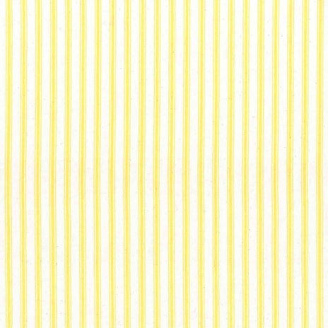 Ticking Stripe 1 Fabric