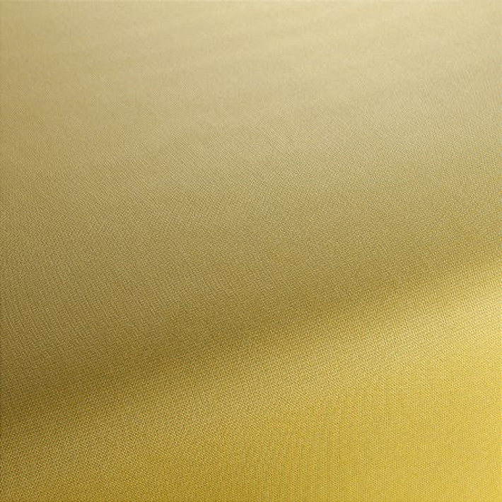 Light Fabric